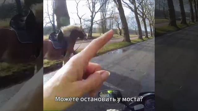 Разгулялся жеребец смотреть онлайн