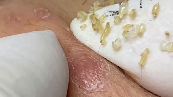 Enjoy Every Day With The Best Video Loan Nguyen Spa Official 2314