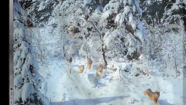 Были синие глаза... смотреть онлайн