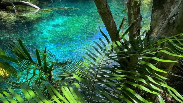 Dominican Republic, Bayahibe, Dominicus, Saona Island, Catalina Island, Punta Cana 2021 смотреть онлайн