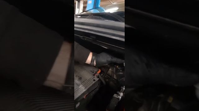 Peugeot: техника и профессионалы