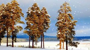 Футаж. Зимний пейзаж 46