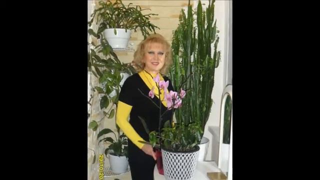 С Днём Рождения,Ольга!!! смотреть онлайн