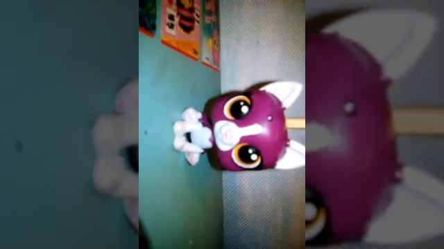 Прошу посмотреть всем!Камера в конце видео вырубилась!