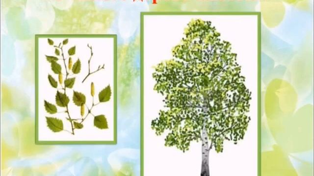 Старшая группа. Ознакомление с окружающим миром "Путешествие по экологии" смотреть онлайн