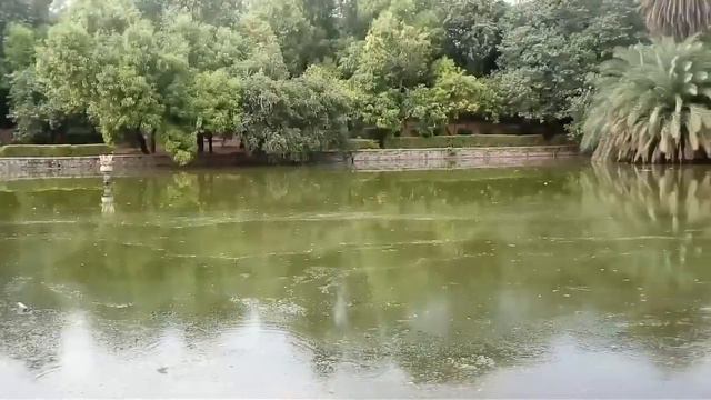 LODHI GARDEN || THIS GARDEN IS WOW! || BARA GUMBAD || SIKANDAR LODI TOMB || TOUR PACKAGES FROM DELH смотреть онлайн