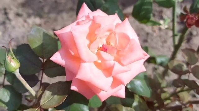 -Ты позвала отдыхать вместе для того, чтобы я сидела с твоим ребенком, пока ты бегаешь по свиданиям смотреть онлайн