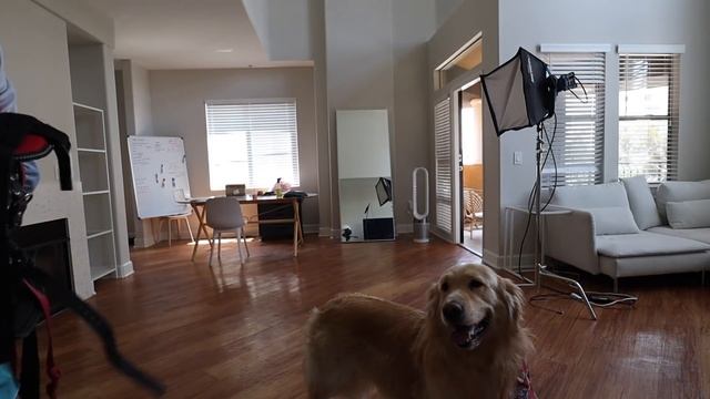 amazon home organization haul! online shopping for our move! смотреть онлайн