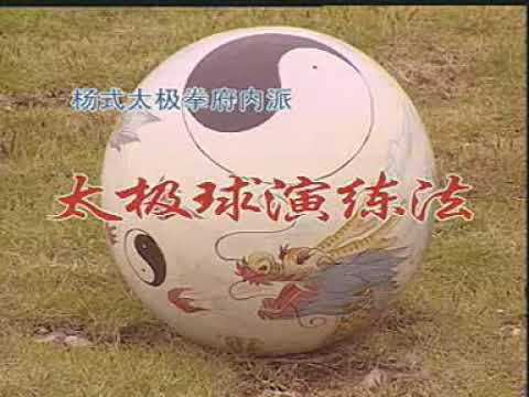 Шар  Тайцзи c Ли Чжен