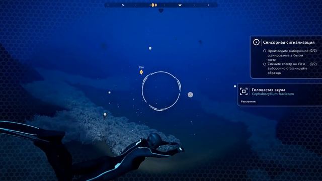 Beyond Blue -4- СУМЕРЕЧНАЯ ЗОНА [Прохождение на русском] смотреть онлайн