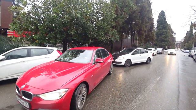 НЕБОЛЬШОЙ ОБЗОР ☼ МИМОЗА, МАГНОЛИЯ, КАМЕЛИЯ .. смотреть онлайн