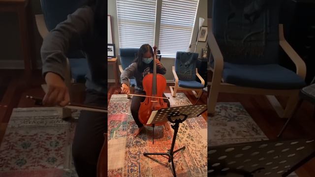 D minor Sonata Op.5 No.8 by Corelli смотреть онлайн