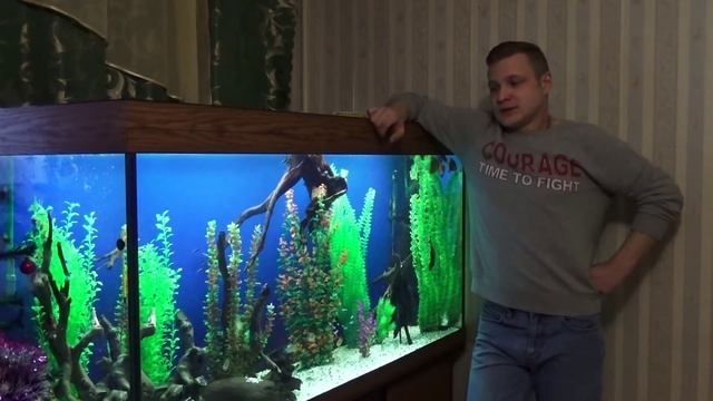 Аквариум,советы начинающим. Выпуск-2: грунт в аквариуме смотреть онлайн