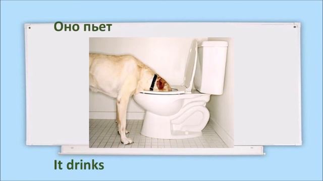 present simple смотреть онлайн