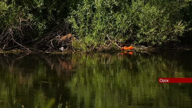 10072023 В реке Урал утонул мужчина смотреть онлайн
