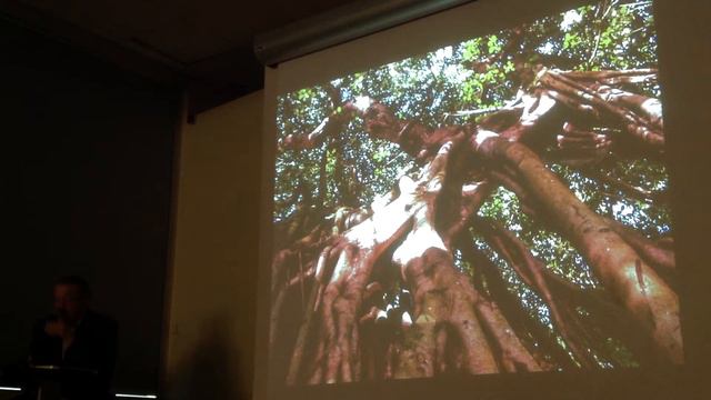 Conférence de M. Franklin Picard 1ère partie смотреть онлайн