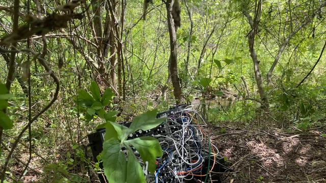 Mandrake Plays Eurorack Modular Synthesizer смотреть онлайн