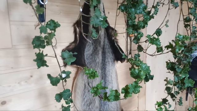 Прощание с октябрём. Стрим. смотреть онлайн