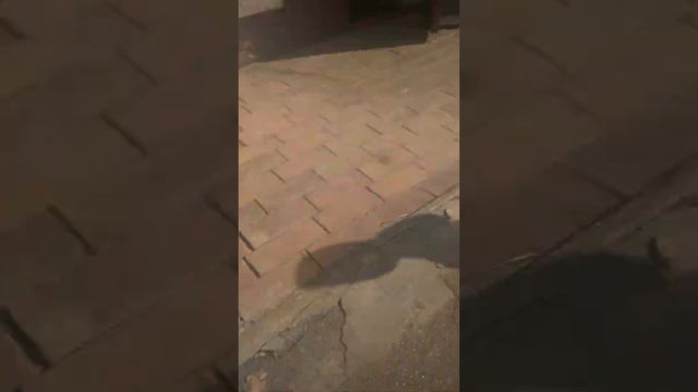 Чисто закончилось место на телефоне (-:😂😂😂 смотреть онлайн