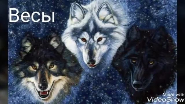 Какой ты волк смотреть онлайн