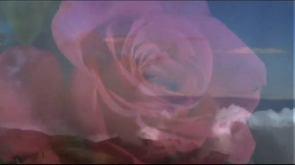 Счастье быть вдвоем.