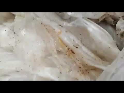 Линия переработки пленочных и нитевидных отходов в пушонку.