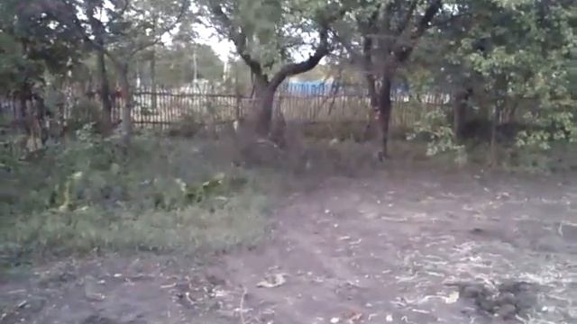 минитрактор и дерево! смотреть онлайн