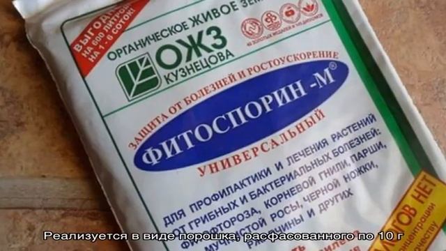 Виртуозное Играть на Инструменте