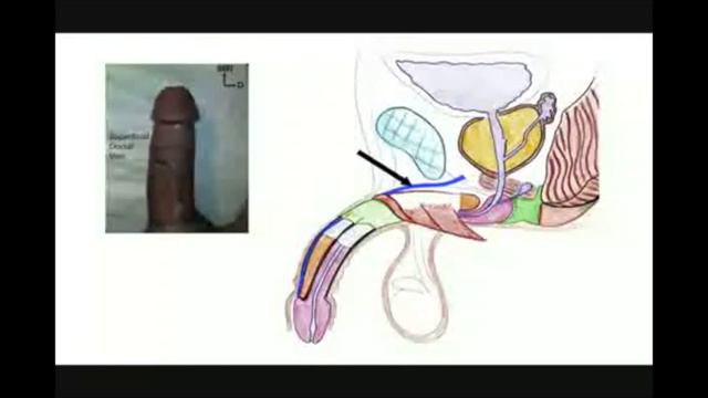 XXX Join the SensaNostra team XXX смотреть онлайн