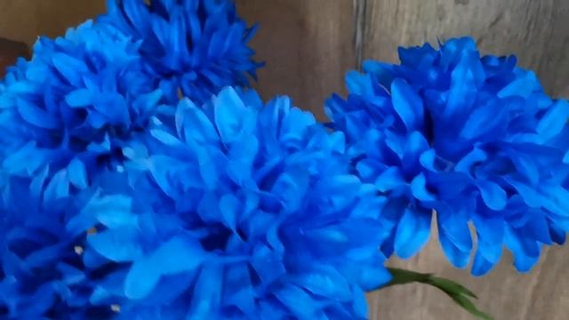 цветок хризантемы синий смотреть онлайн