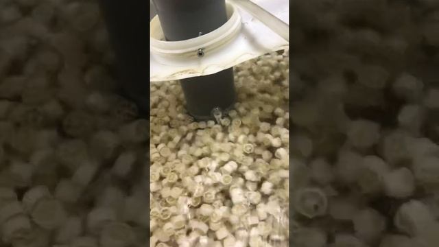 УЗВ. Нитриты не дают спать смотреть онлайн