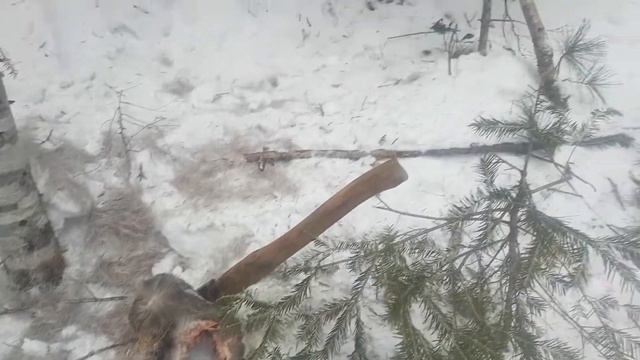 Соболь поймал Кабаргу смотреть онлайн