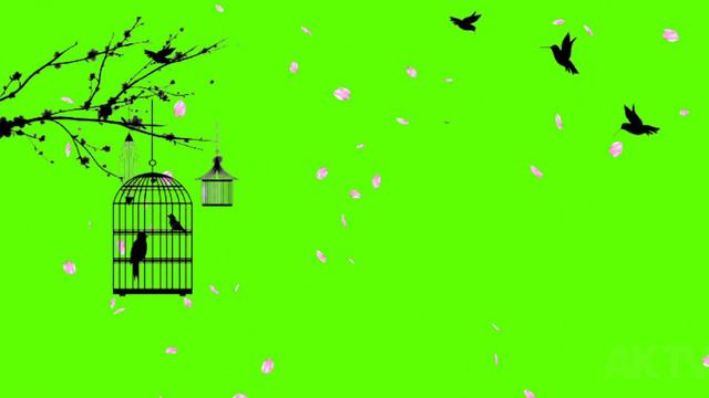 AKTV Green screen video PNG Green screen смотреть онлайн