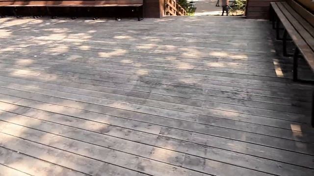 Просто первое августа / Кукла Паола Рейна по имени Альберт / Парк Бабушкинский