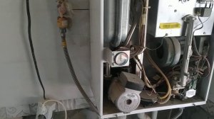 котел навьен 13 гремит.