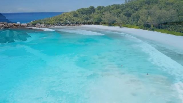 LA MEJOR MÚSICA DE SAXOFÓN DE TODOS LOS TIEMPOS Las 100 Melodías Instrumentales Suaves Más Romántic смотреть онлайн