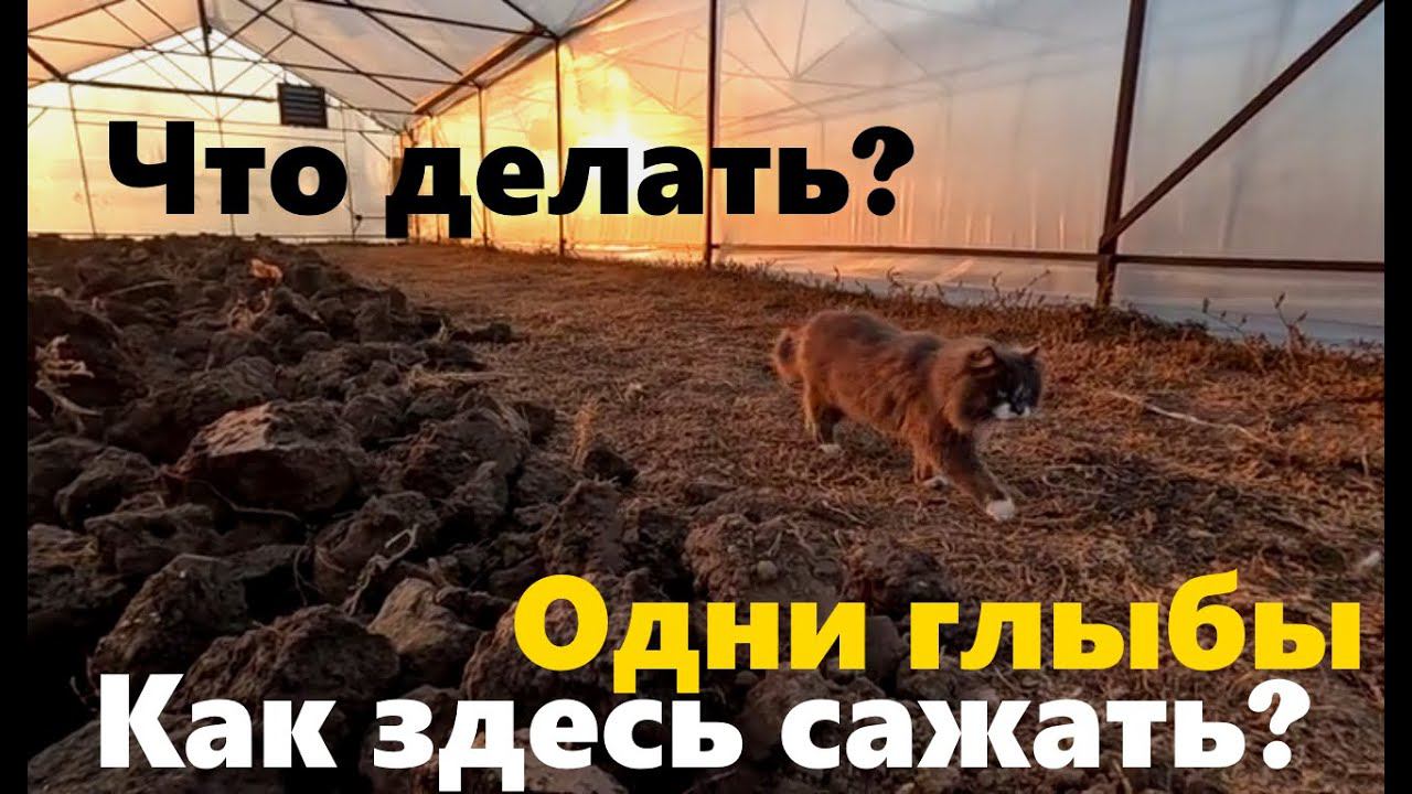 #190 Пашу в теплице мотоблоком