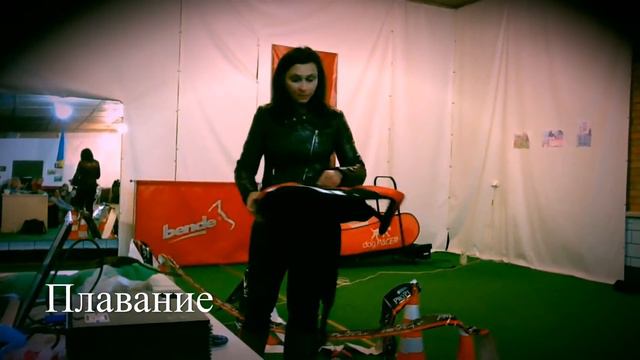 Семинар "Правильный рацион, выращивание и физические нагрузки собак" смотреть онлайн