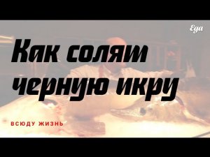Как солят черную икру