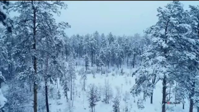 Поздравляем с праздником Сагаалган! смотреть онлайн