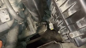 Peugeot expert потеря мощности, ошибка турбины.