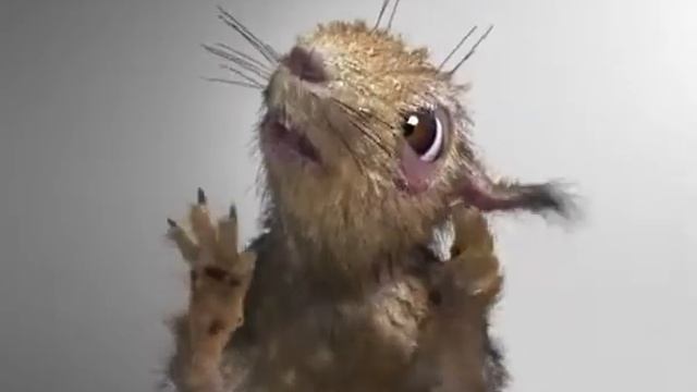 Адская белочка,белочка,сумашествие! смотреть онлайн