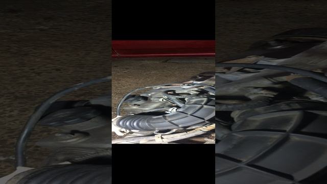 Кот в мешке. Новый проект на нашем канале. смотреть онлайн