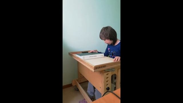 Коррекционная направленность обучения слепых школьников: ориентировка в пространстве. смотреть онлайн