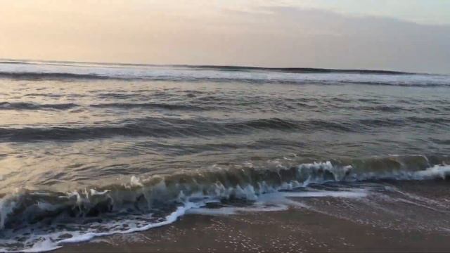 Нордвейк Голландия смотреть онлайн