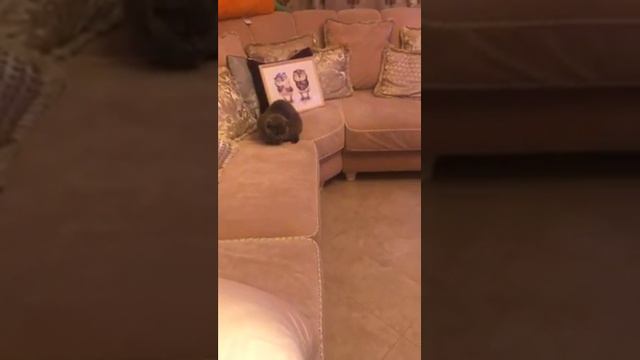 Бумер развивает способности гипнотезера😂 смотреть онлайн