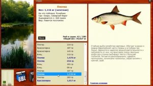 Русская Рыбалка 3.99 как заработать новичку на зачетной плотве и красноперке