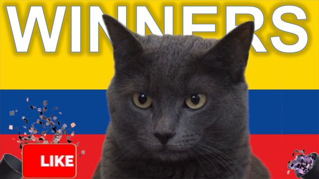 Cass the Cat - Copa América 2021 Predictions - Ecuador vs Peru - Predicción Copa América 2021 смотреть онлайн