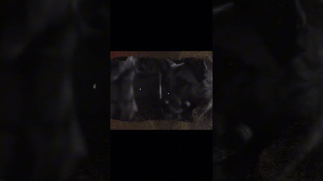 Конкурс видеороликов к 9 мая — ЗИК-11 смотреть онлайн