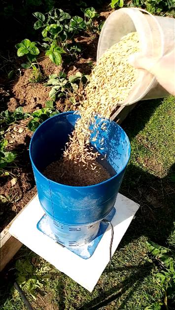 Как приготовить зерносмесь для кур. смотреть онлайн